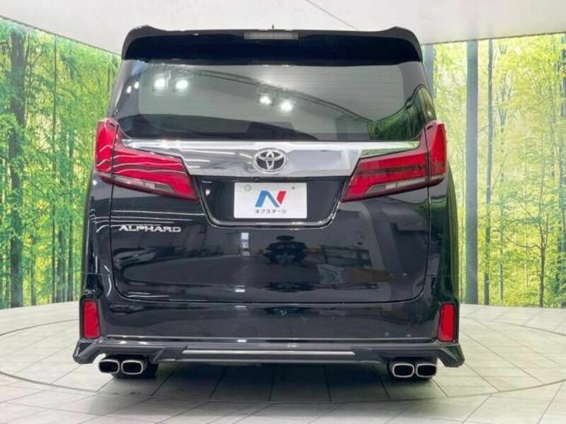 ALPHARD-14