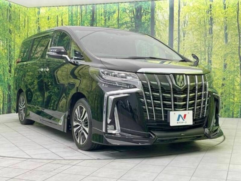 ALPHARD-15