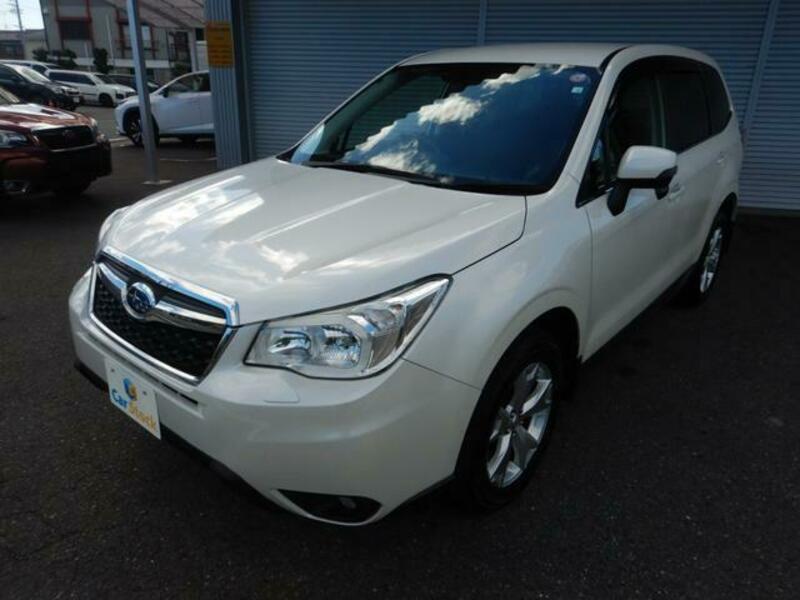 FORESTER-17