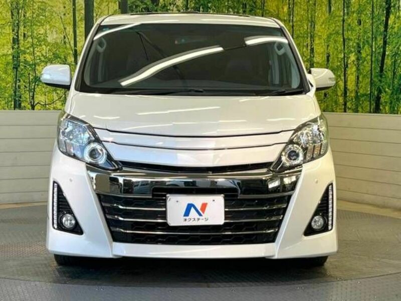 ALPHARD-15