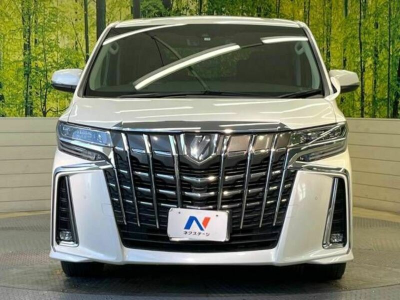 ALPHARD-14