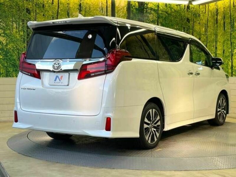 ALPHARD-17