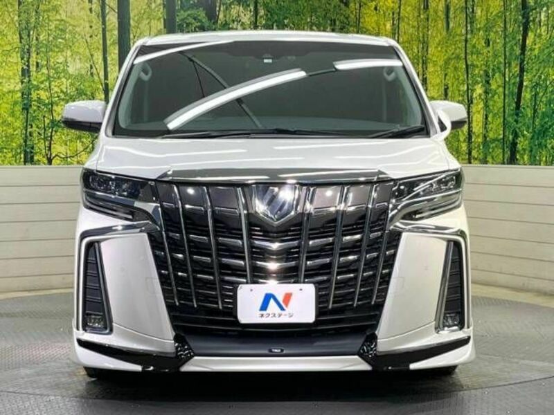 ALPHARD-14