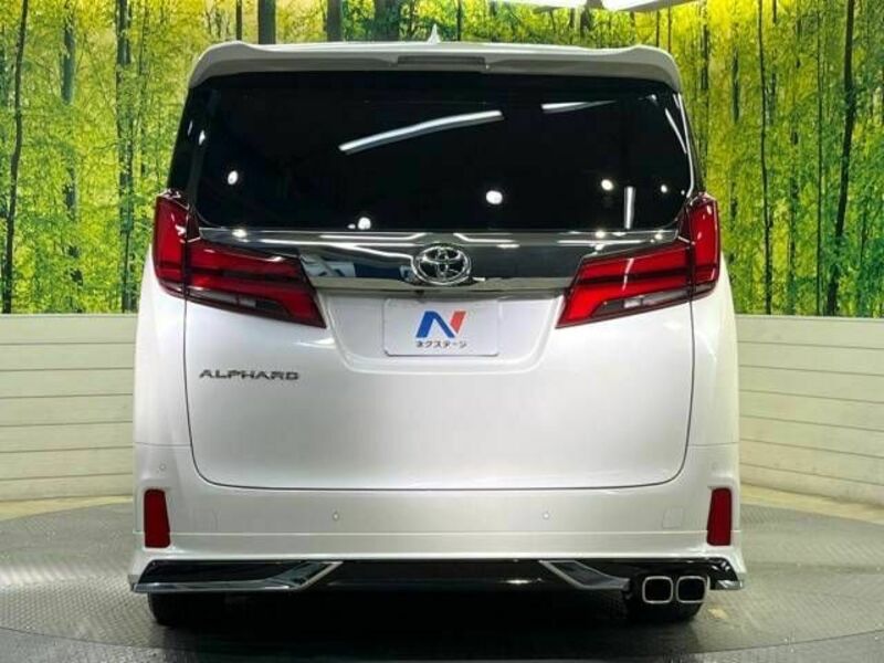 ALPHARD-15