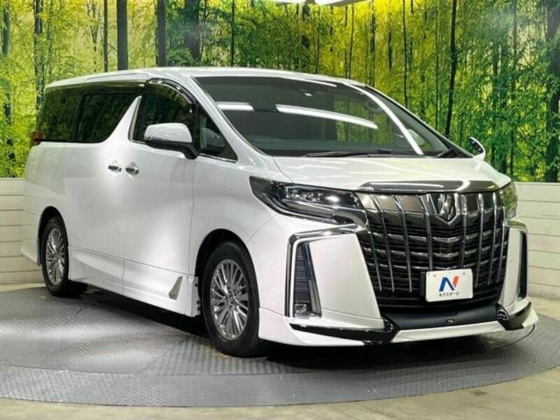 ALPHARD-16