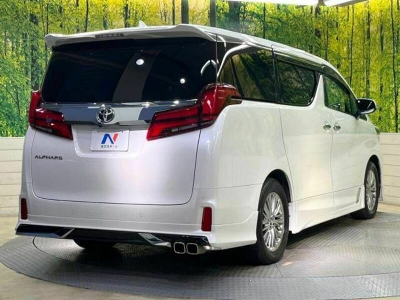 ALPHARD-17