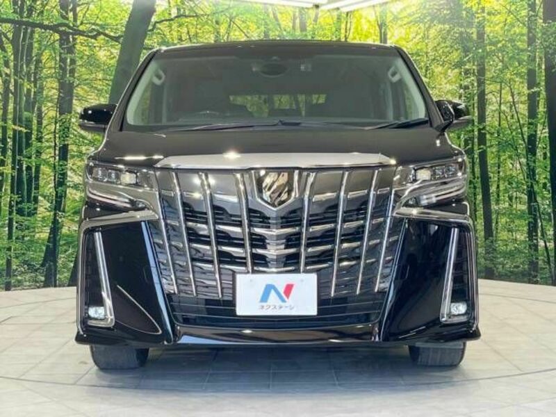 ALPHARD-15