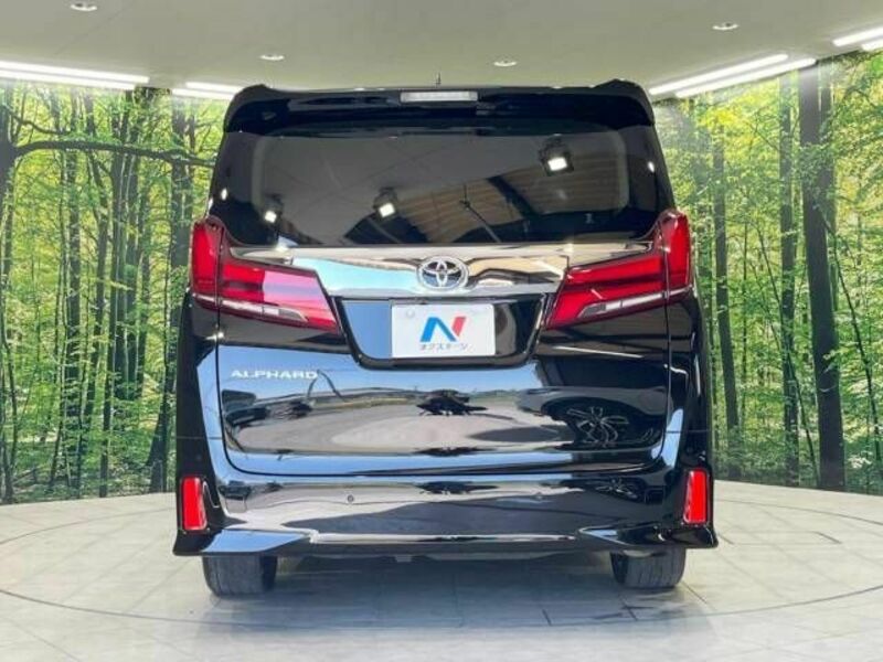 ALPHARD-16