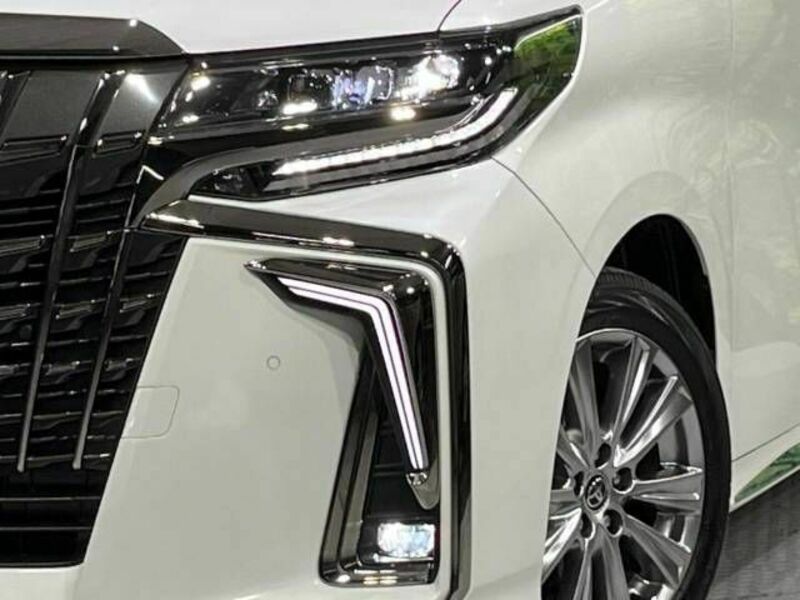 ALPHARD-13