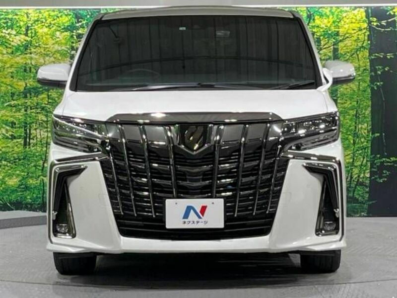 ALPHARD-15