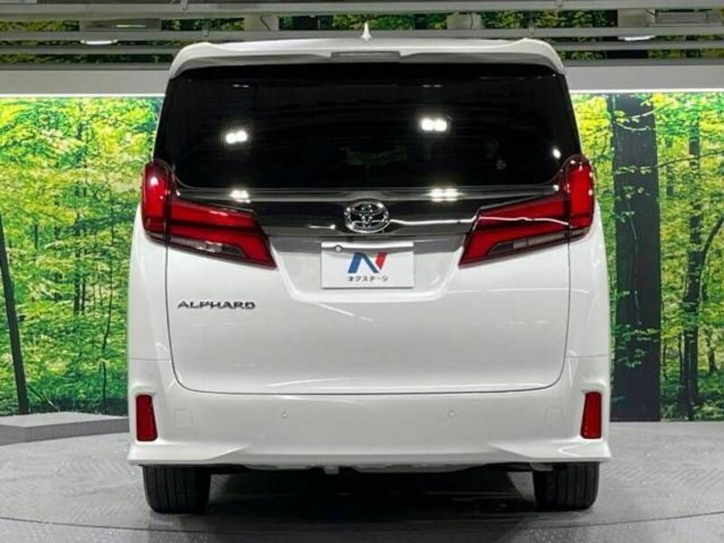 ALPHARD-16