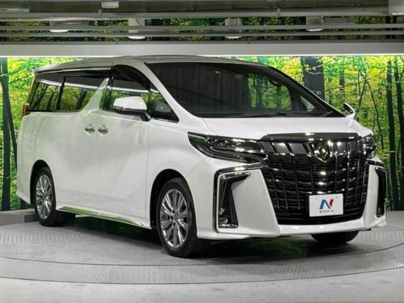 ALPHARD-17