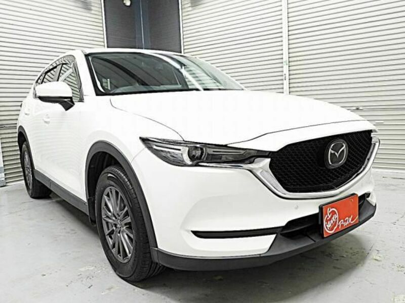 CX-5-29