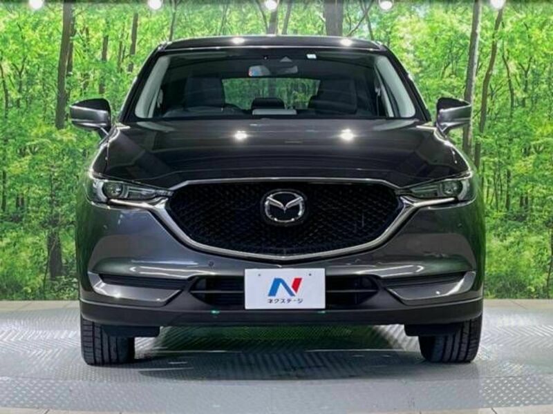 CX-5-13