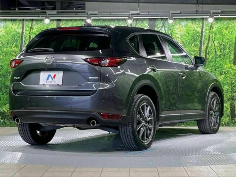 CX-5-16