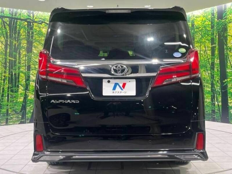 ALPHARD-15