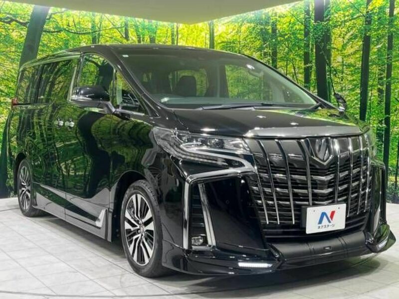 ALPHARD-16