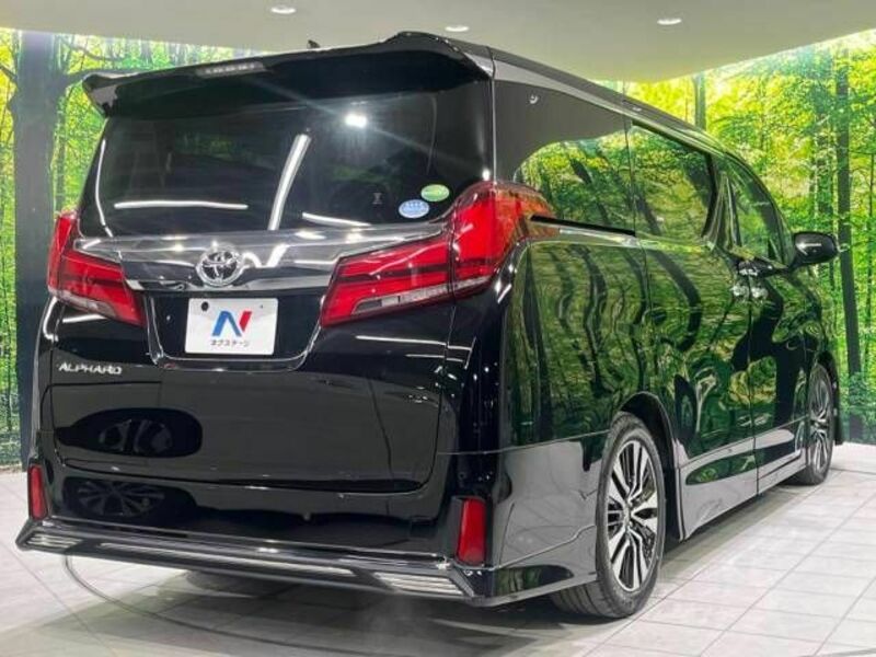 ALPHARD-17