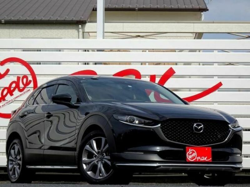 CX-30-2