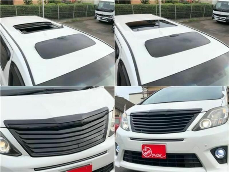 ALPHARD-4