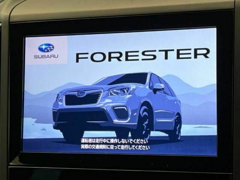 FORESTER-2