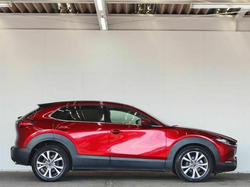 CX-30-4