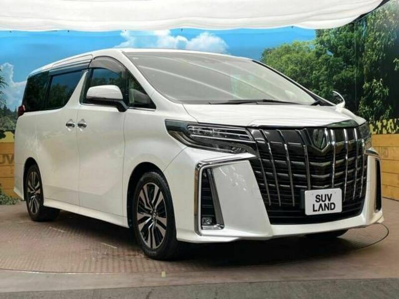 ALPHARD-17