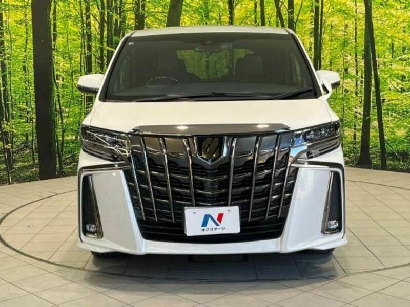 ALPHARD-15