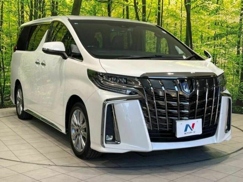 ALPHARD-17