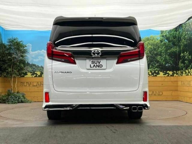 ALPHARD-15