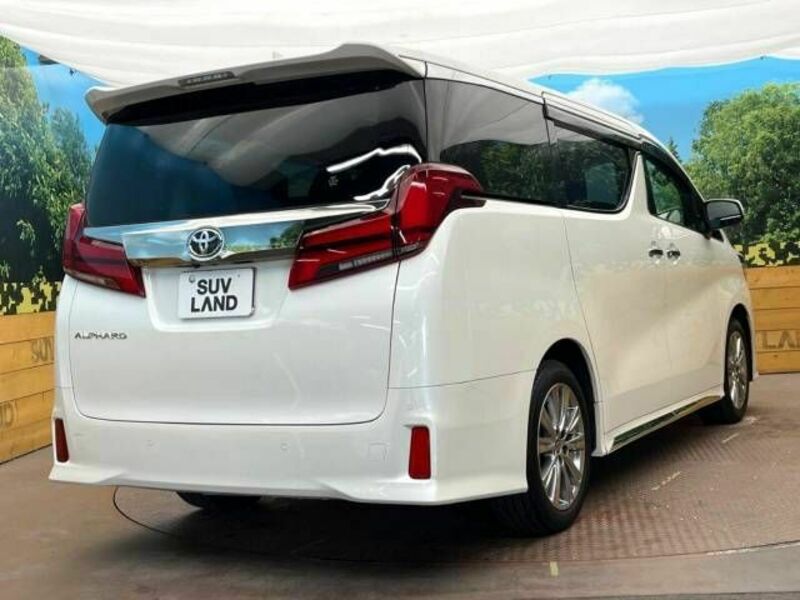 ALPHARD-18