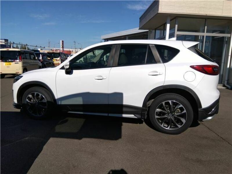 CX-5-4