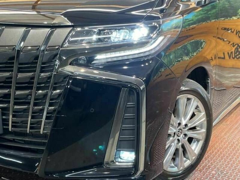 ALPHARD-12