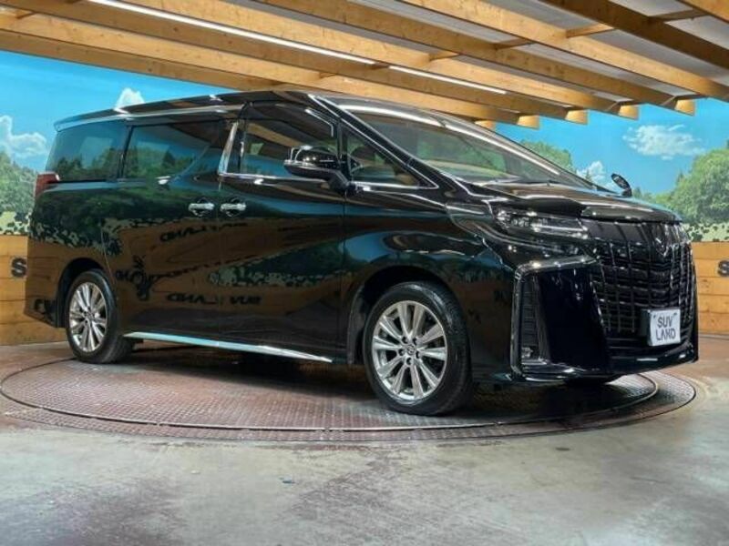 ALPHARD-16