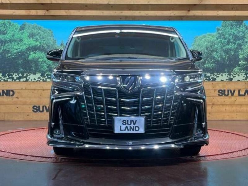 ALPHARD-15