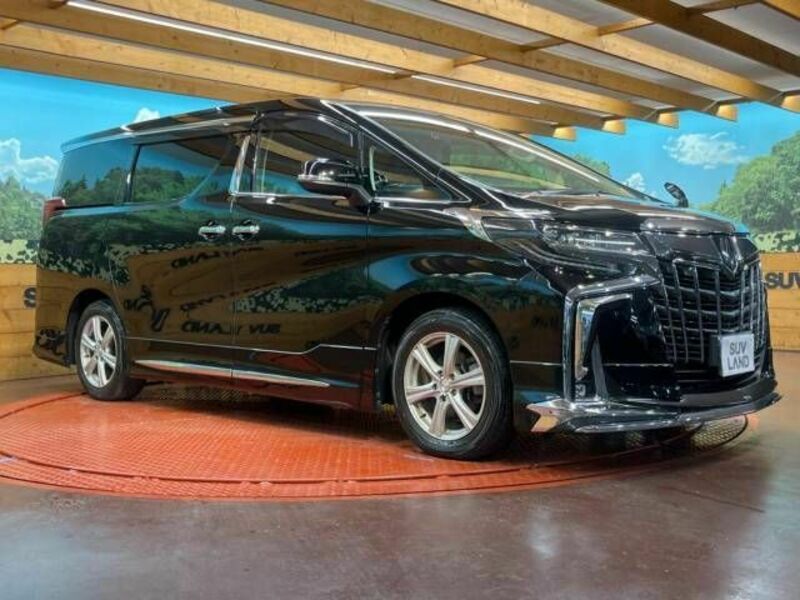 ALPHARD-17