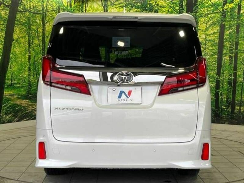 ALPHARD-16