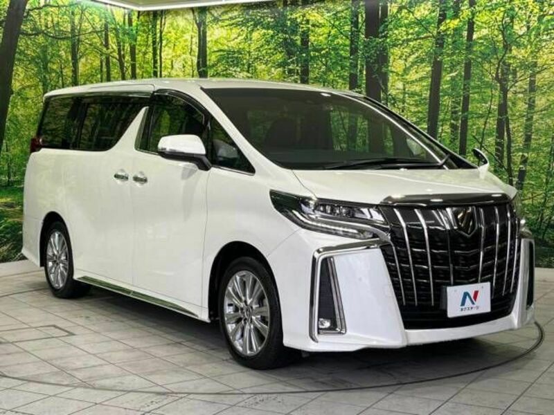 ALPHARD-17