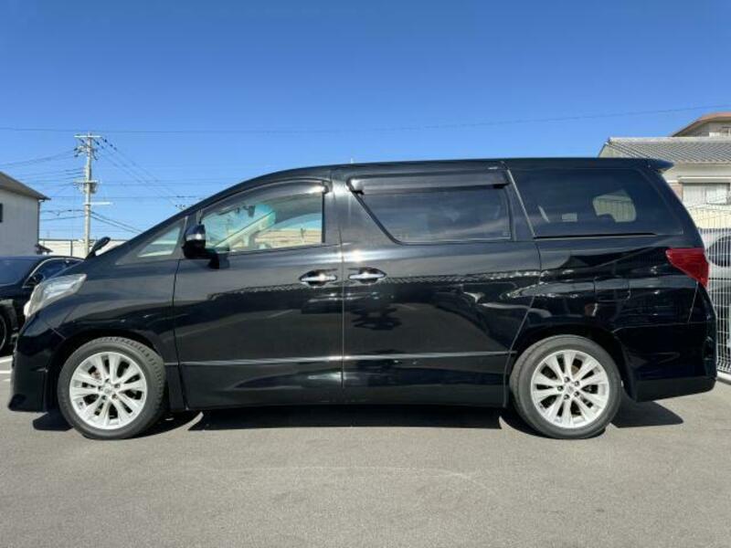 ALPHARD-10