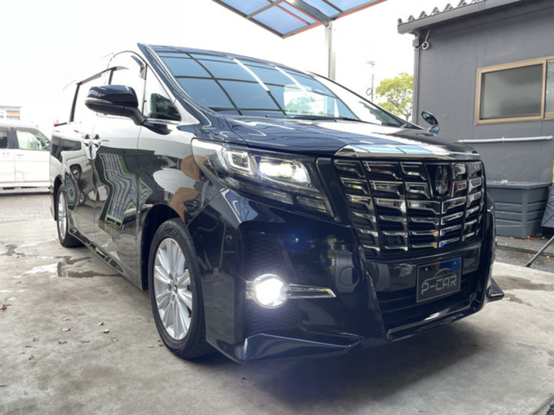 ALPHARD-13