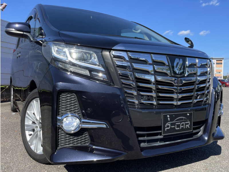 ALPHARD-13