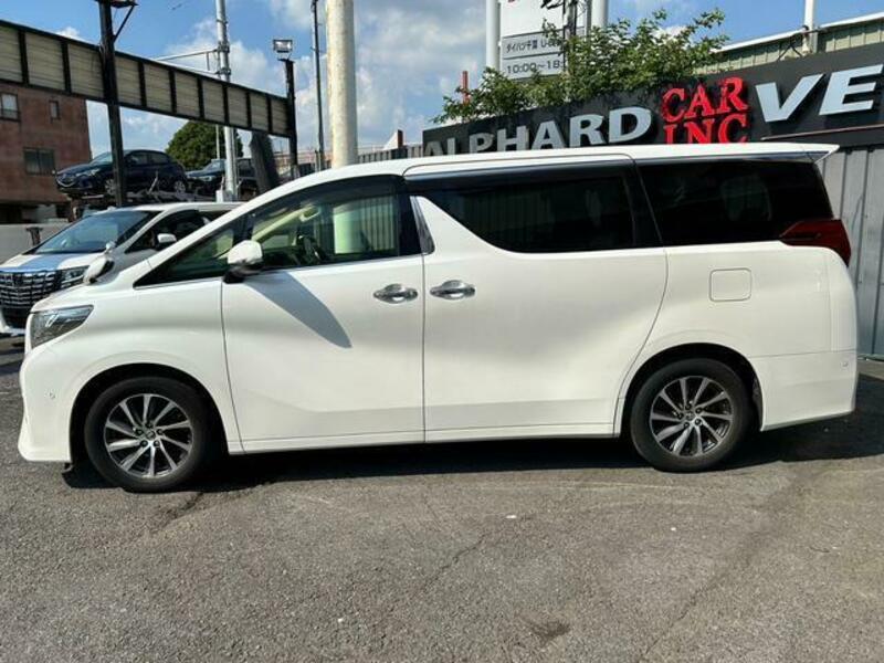 ALPHARD-6