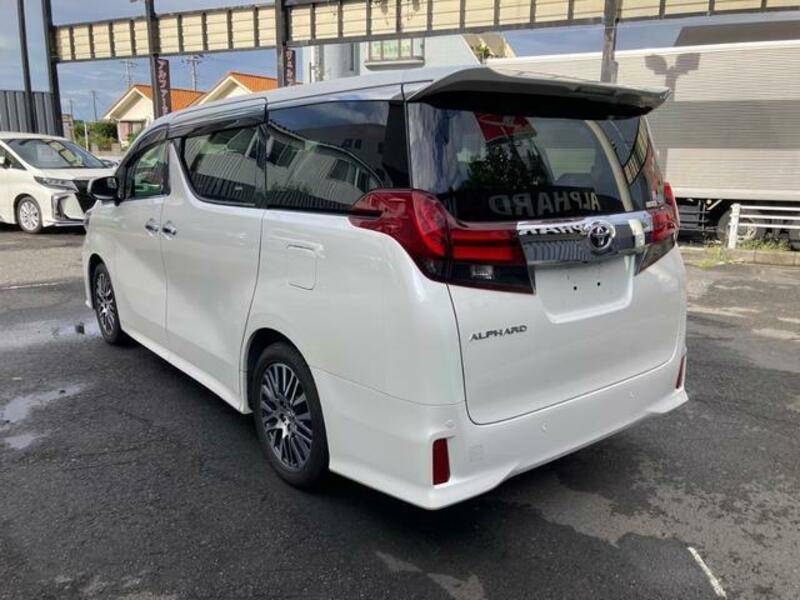 ALPHARD-13