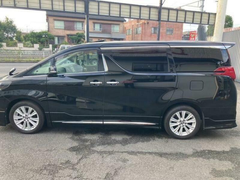 ALPHARD-16