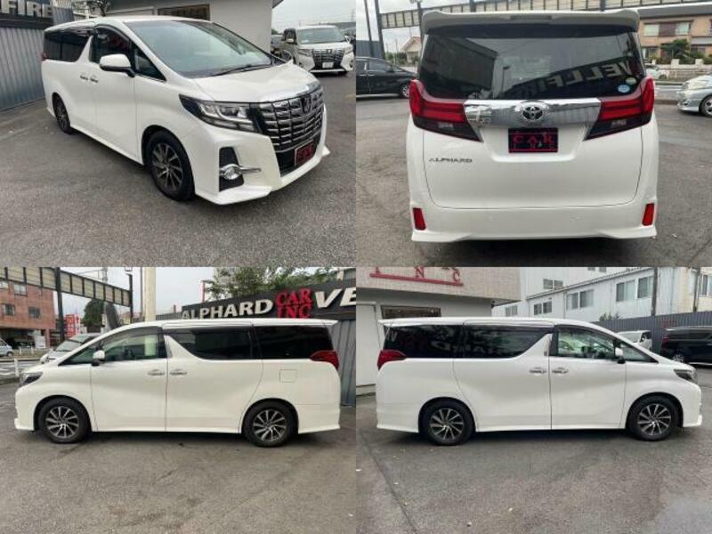 ALPHARD-8