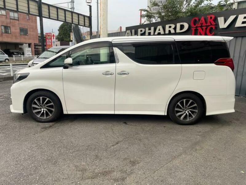 ALPHARD-12