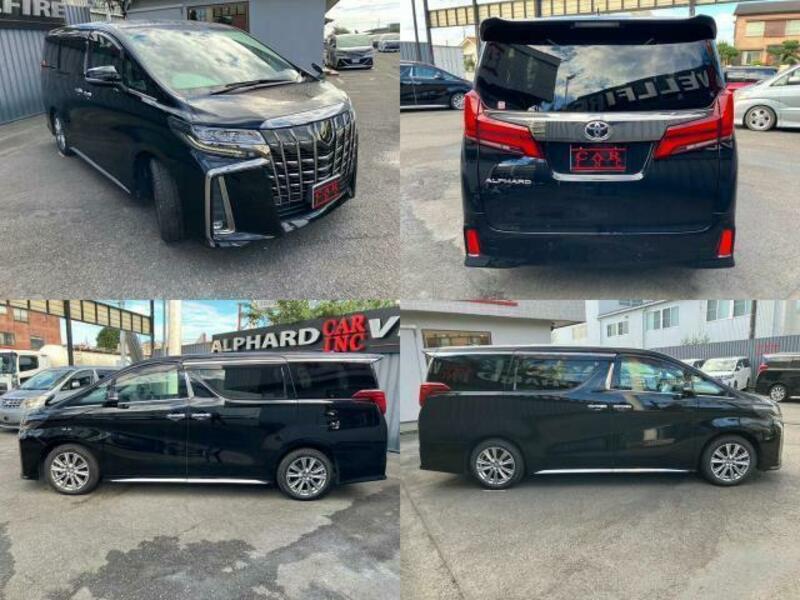 ALPHARD-8