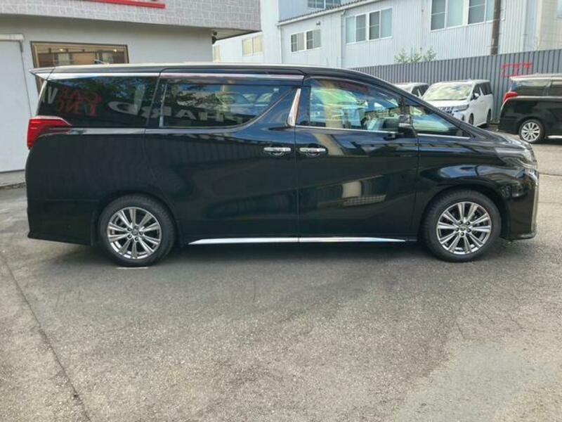 ALPHARD-13