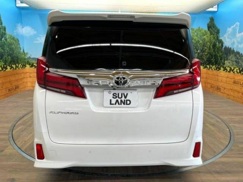 ALPHARD-16