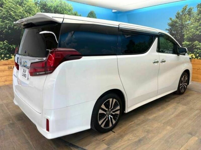 ALPHARD-18